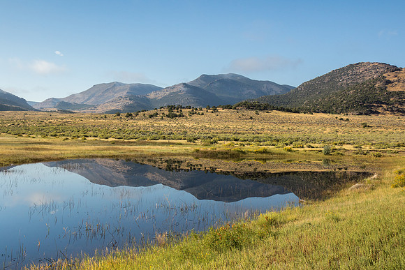 Wetland and Diamond Breaks Mountains