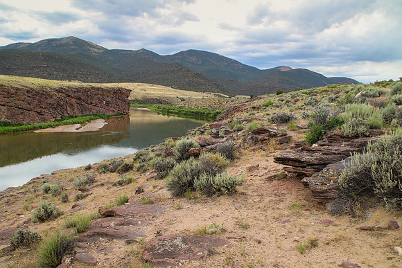 Rattlesnake Canyon (spring)